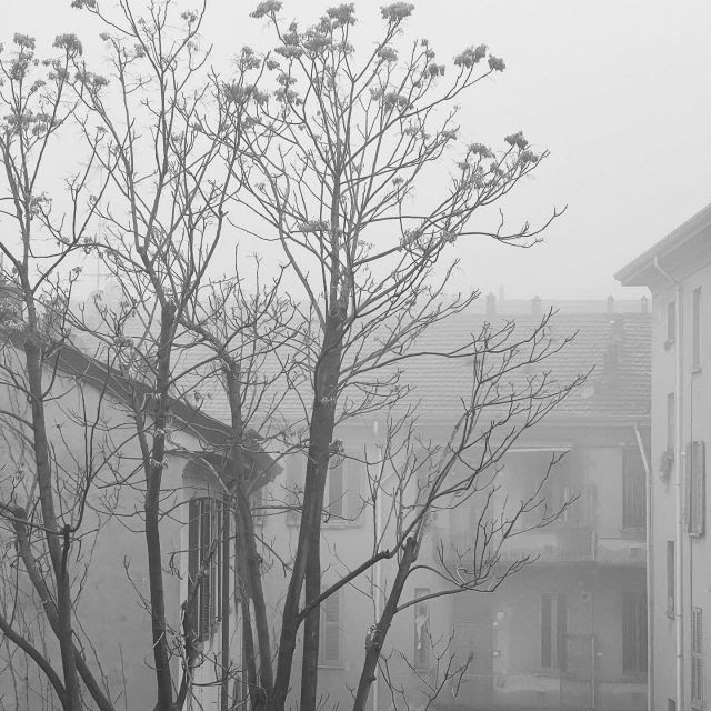 Nebbia in Val Padana